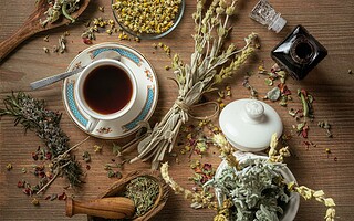Comment retrouver du tonus grâce aux plantes ?