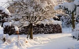Que faire au jardin en hiver ?