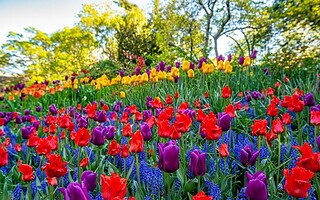 Le printemps est là : les 5 plus beaux jardins de France