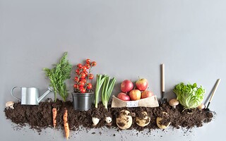 Les aliments à éviter pour adopter un mode de vie écolo