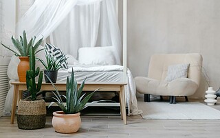 5 conseils pour aménager une chambre d’amis