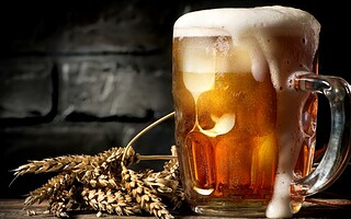 Des amateurs de bières ? Voici un job de rêve !