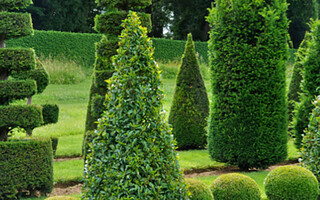 Les jardins d'Eyrignac : une merveille du Périgord