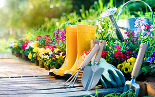 Jardin écologique : 6 conseils simples à appliquer