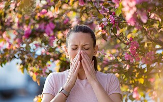 5 astuces pour soulager votre allergie au pollen