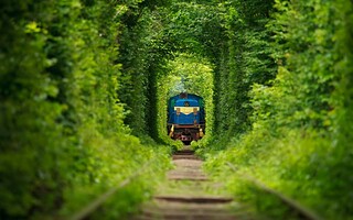 5 trains insolites à découvrir à travers la France