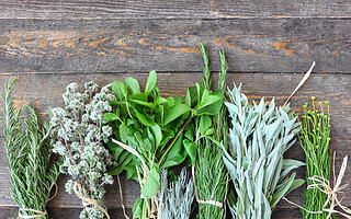 Comment fabriquer un potager d’intérieur ?