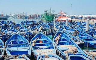 Notre consommation de poisson menace les écosystèmes