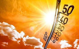 Canicule : la planète connait une vague de chaleur record