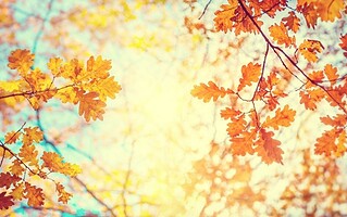 Automne 2022 : quelles seront les tendances saisonnières ?