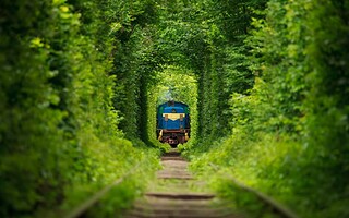 5 trains insolites à découvrir en France