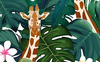 6 particularités insolites à découvrir sur la girafe