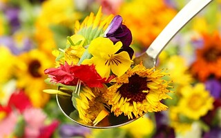 Cuisiner les fleurs à la mode de chez nous 