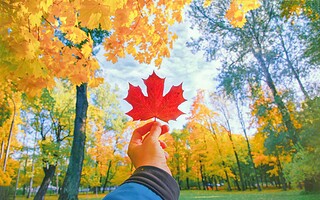 Automne au Québec : un itinéraire à couper le souffle