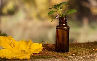 5 huiles essentielles pour affronter l'automne