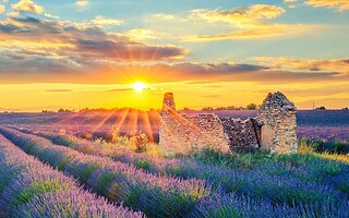 Que faire en Provence-Alpes-Côte d’Azur ? 