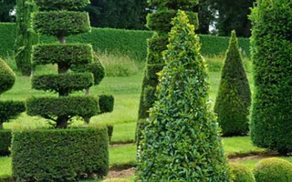 Les jardins d'Eyrignac : une merveille du Périgord