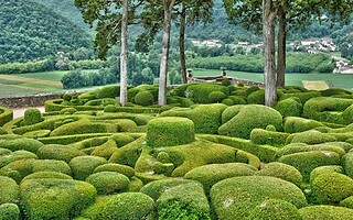 Découvrez le jardin de Marqueyssac