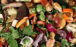 Le recyclage des matières organiques