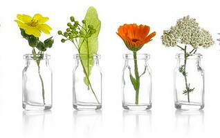 Quelles plantes cultiver pour se soigner naturellement?