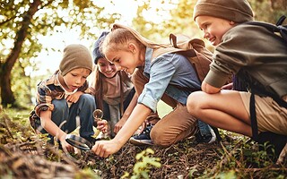 Les camps nature : présenter l'écologie aux enfants