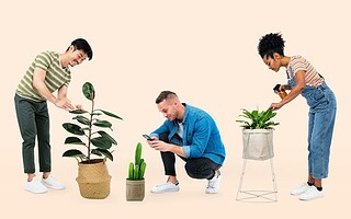 Prendre soin de ses plantes : 6 conseils bien utiles