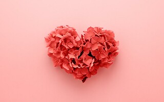Niveaux d’amour : les 4 façons d’aimer
