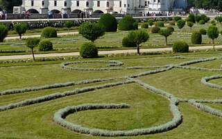 La beauté des jardins de Chenonceau !