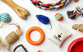 Les 22 accessoires pour chats les plus mignons