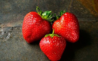 Comment planter un fraisier ? 10 choses à savoir