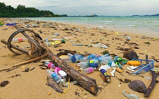 Les poubelles des mers envahissent la France
