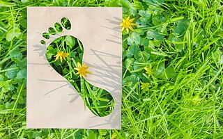 Le calculateur d'empreinte écologique