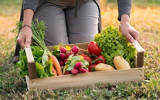 Les 5 bonnes raisons de se mettre au jardinage