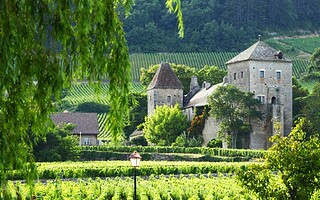 Que faire en Bourgogne-Franche-Comté ? 