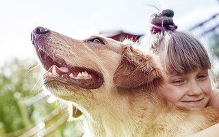 Avoir un chien permet de rester en bonne santé