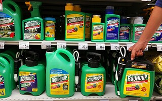 Glyphosate : le consommateur est-il en danger ?