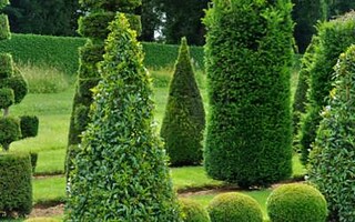 Les jardins d'Eyrignac : une merveille du Périgord