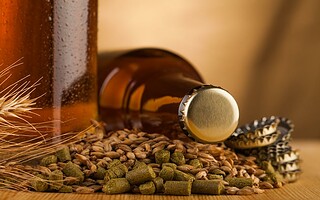 Levure de bière : 3 bienfaits beauté incontestables