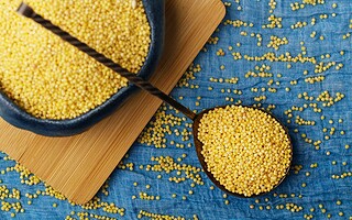 Culture du mil : à la découverte de cette perle nutritive