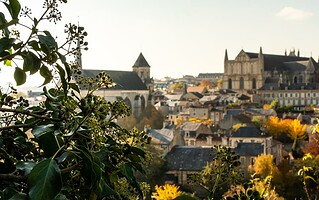 Tout savoir sur la ville de Poitiers