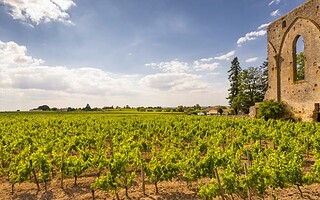 Que faire en Nouvelle-Aquitaine ? 