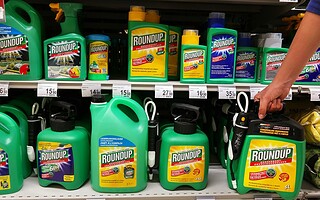 Glyphosate : le consommateur est-il en danger ?