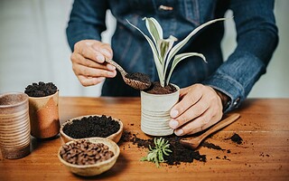 Marc de café : comment l'utiliser ?