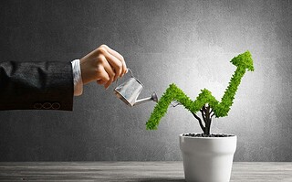 Quels sont les gestes écolo les plus efficaces ?