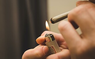 La consommation de cannabis augmente chez les jeunes