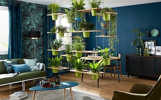 30 indispensables pour une déco tropicale
