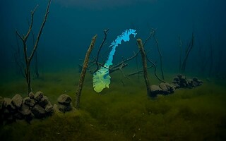 Une ville sous-marine existe en Norvège