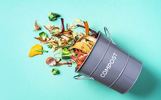 Les aliments à ne jamais mettre au compost