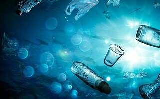 Plastiques dans les océans : les risques ?