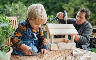 Comment construire un gîte pour chauves-souris ?